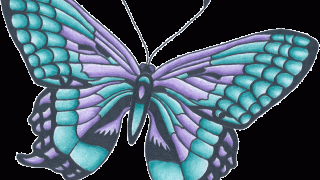 drawings butterflies Butterfly drawing pencil blue monarch getdrawings