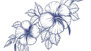 drawing with flowers Set sketch flowers line drawing. nature line art vector. botanical