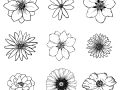 drawings of a flower Flower drawing images easy