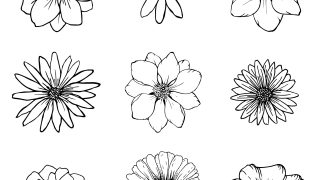 drawings of a flower Flower drawing images easy