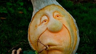 pumpkin sculpting ideas Lori's adventures: pumpkin carving ideas…