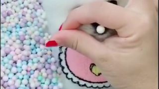 cute wa Cute wá🌰🍈