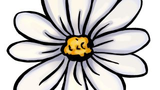 flowers of drawings Flower drawing