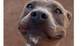 funny as memes 61 funny memes about life in retail