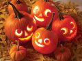 pumpkin lantern ideas Pumpkin halloween jack pumpkins lanterns lantern carving decoration family mini small carved templates decorating stewart martha creative template decorations designs