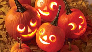 pumpkin lantern ideas Pumpkin halloween jack pumpkins lanterns lantern carving decoration family mini small carved templates decorating stewart martha creative template decorations designs