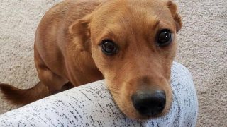 funny memes about memes Pin on funny memes & pictures