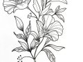 flowers that are drawn √ drawing beautiful flowers