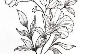 flowers that are drawn √ drawing beautiful flowers