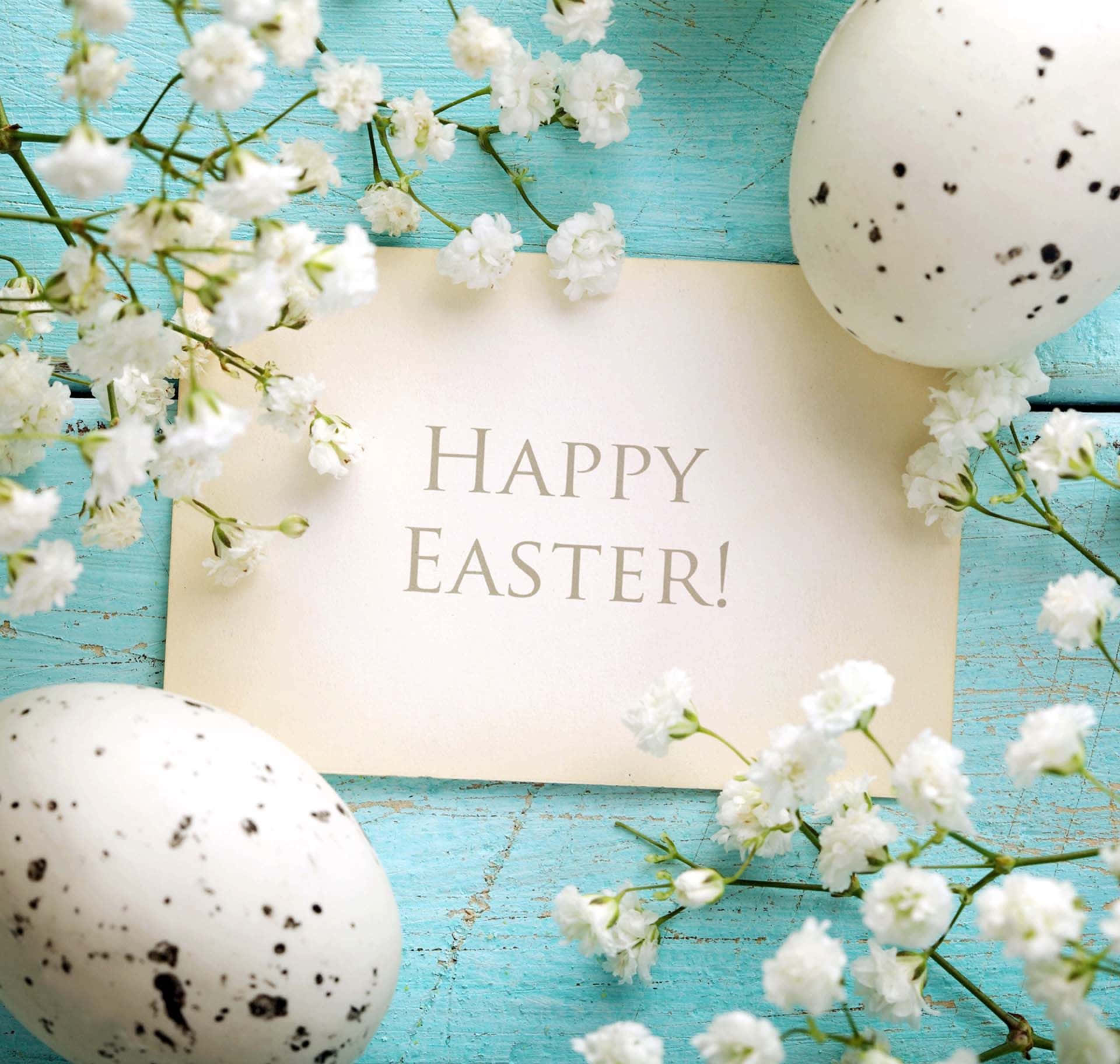 Download Happy Easter Pictures | Wallpapers.com