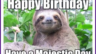 happy birthday memes Happy birthday animals happy birthday funny happy bir