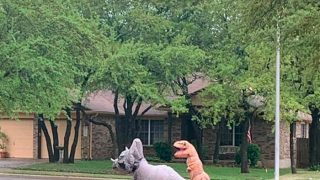 funny meme meme Memes change popular internet world mickey ways crisis profile basis