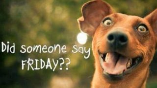 friday happy images Happy friday pictures, photos, and images for facebook, tumblr