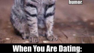 humorous meme Laugh jokes hilarious memes laugh jokes